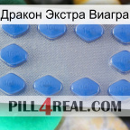 Дракон Экстра Виагра 21